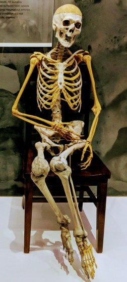 IMG_20180923_140928 (1).jpg